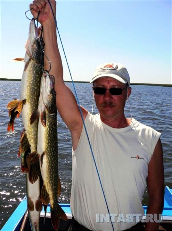 Астраханская блесна на судака - выбирайте лучшие блесны для успешной рыбалки